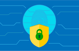 Introdução à Lei Brasileira de Proteção de Dados Pessoais